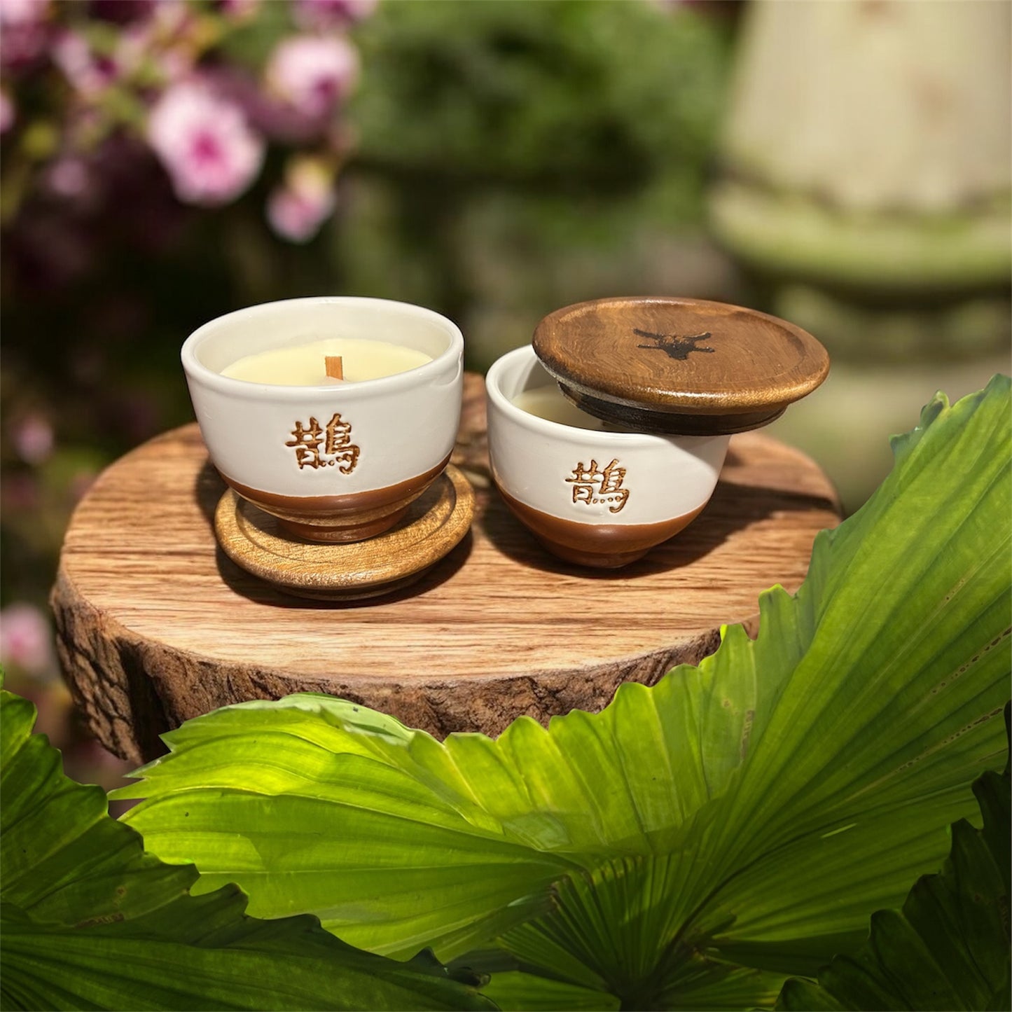 Tea Tree Garden 3.5 oz Candle (1 pc) Clean Burning